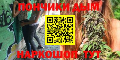 мдпв Обь